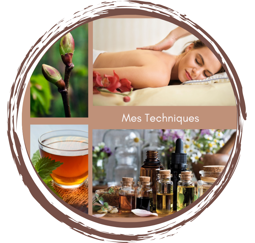 mes techniques - naturopathe - auriculothérapie - prévention santé au naturel et bien être Pyrénées orientales - Perpignan - 66